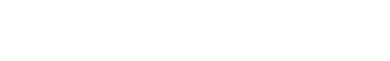 Neufdixneuf wordmark